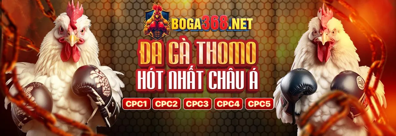 Đá gà trực tuyến đỉnh cao tại ok8368 nhà cái